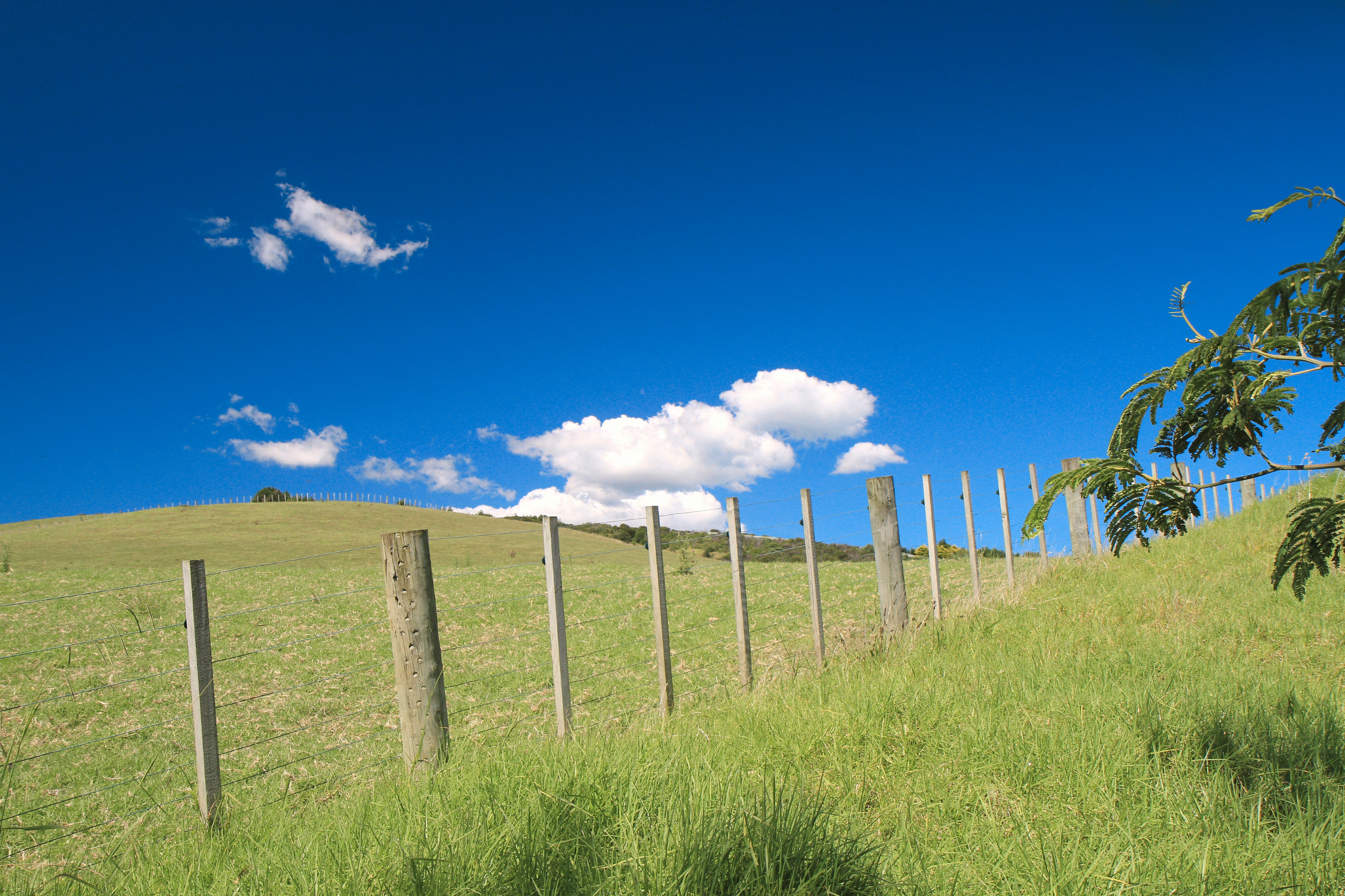waiheke island_04.webp